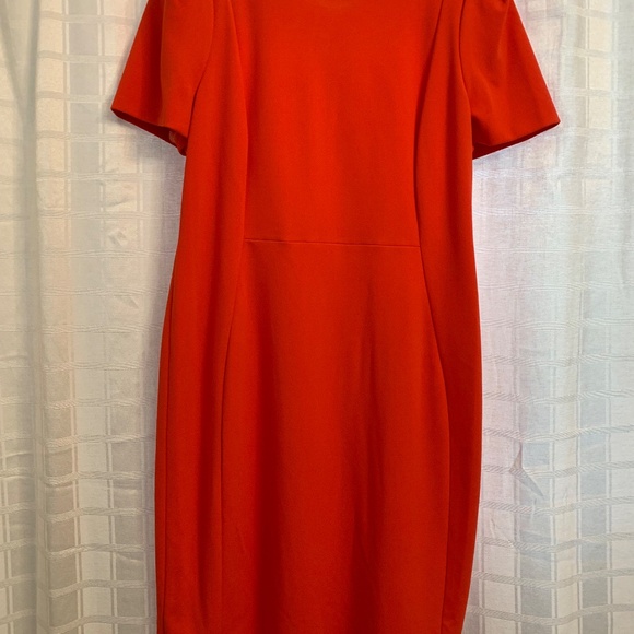 Calvin Klein - Picture 2 of 3